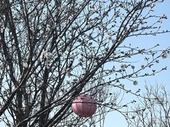 -自然谷恐龙园