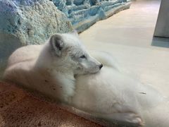 -华夏文旅海洋公园