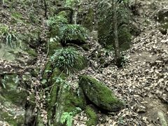 -苍龙峡风景区