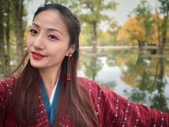 -金塔沙漠胡杨林景区