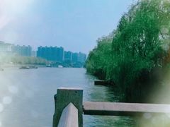 -运河游船(武林门码头)