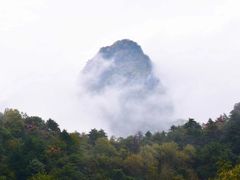 -沣峪口