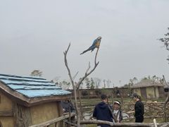 -南昌动物园