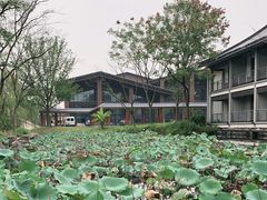 -绍兴鉴湖君澜大酒店