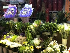 -大自然花鸟鱼虫市场