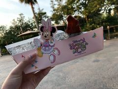 -迪士尼火鸡腿