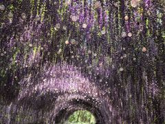 -常州淹城野生动物世界