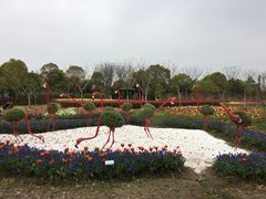 -上海鲜花港