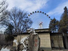 -青城公园