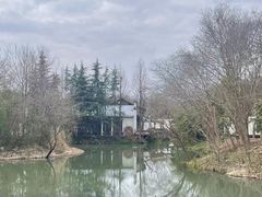 -西溪国家湿地公园