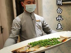 -新光酒家·河豚·海鲜·蟹料理(浦东店)