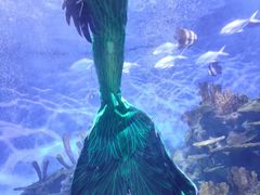 -海合安武汉极地海洋公园