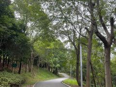 -白鹭湾湿地公园