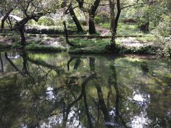 -象山村腊排骨(丽江总店)