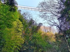 -藏龙百瀑风景区