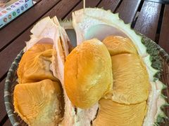 -榴莲BB 四季果园