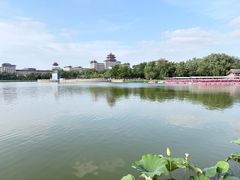 -莲花池公园