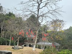 -火炉山森林公园