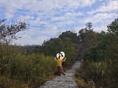 -桃花岭景区