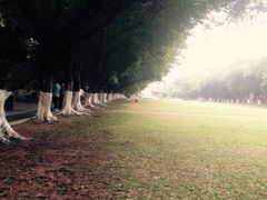 iphone_upload_pic-中山大学学者灵芝(园南路店)