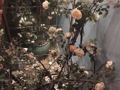 -姗娜娜足道·SPA(古北店)