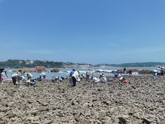 -青岛第二海水浴场