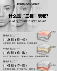 点击看大图 -玛莲朵·海菲秀冰珀科