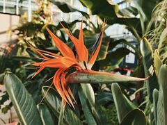 -国家植物园南园