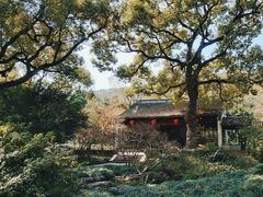 -惠山古镇·寄畅园