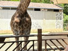 -泉州海丝野生动物世界