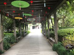 -白马涧龙池景区