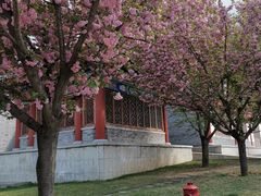 -终南山古楼观历史文化景区