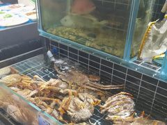 -宏运厨房·海鲜青岛菜·生日宴(城市阳台店)