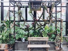 -北马山庄植趣咖啡