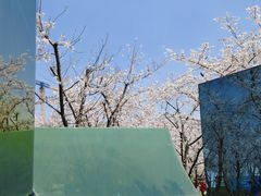 -龙美术馆(西岸馆)