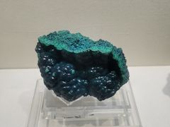 -安徽省地质博物馆