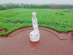 -荷塘月色湿地公园·向阳花洲