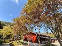 -黄公望隐居地