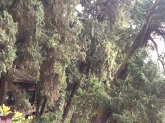 -七曲山风景区