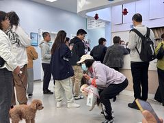 -中国农业大学动物医院