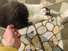 -云南滇池花园国际大酒店温泉