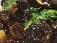 -南波万