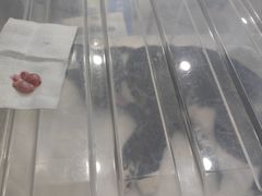 -瑞派天使宠物医院·神经外科·骨科·核磁CT(洛川中路店)