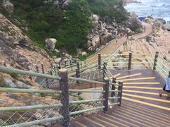-广东惠东海龟国家级自然保护区