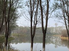 -东郊湿地公园