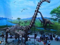 -辽宁古生物博物馆