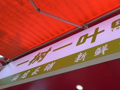 -一树一叶·福建茶档(石鼓路店)