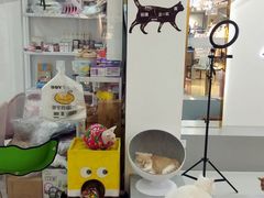 -糯米喵星人·撸猫猫舍咖啡馆(西市场嘉华店)