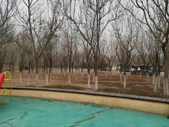 -永定河休闲森林公园