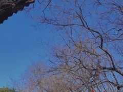 -幕燕滨江·燕子矶公园